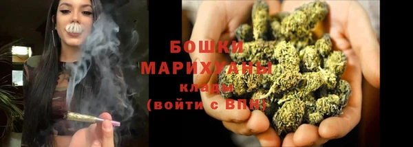 спиды Пересвет