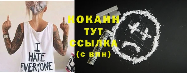 спиды Пересвет