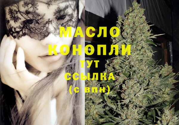 спиды Пересвет