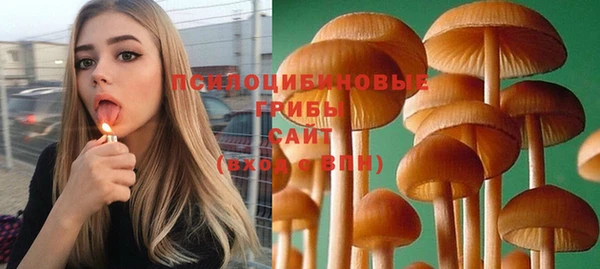 спиды Пересвет