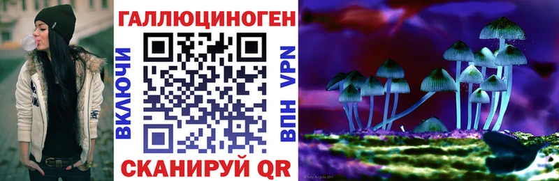 Галлюциногенные грибы Magic Shrooms  купить  сайты  Холм 